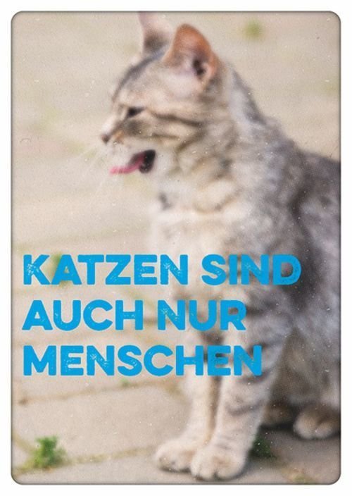 Postkarte Katzen sind auch nur Menschen