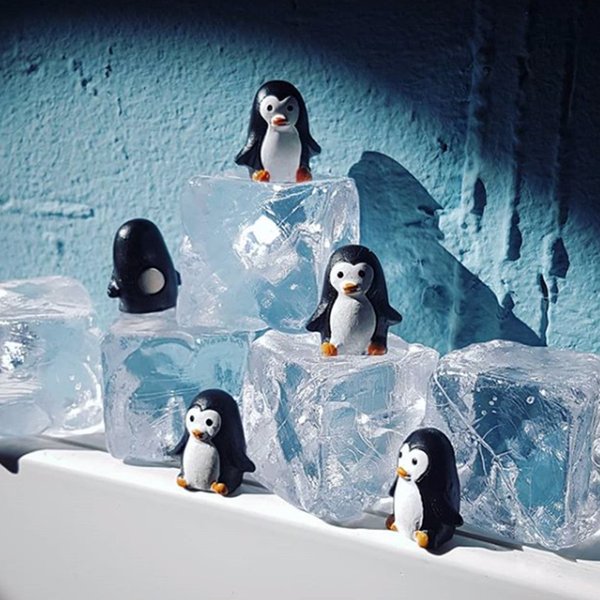 Pinguine Magnet-Set