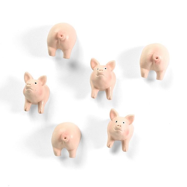 Schweine Magnet-Set
