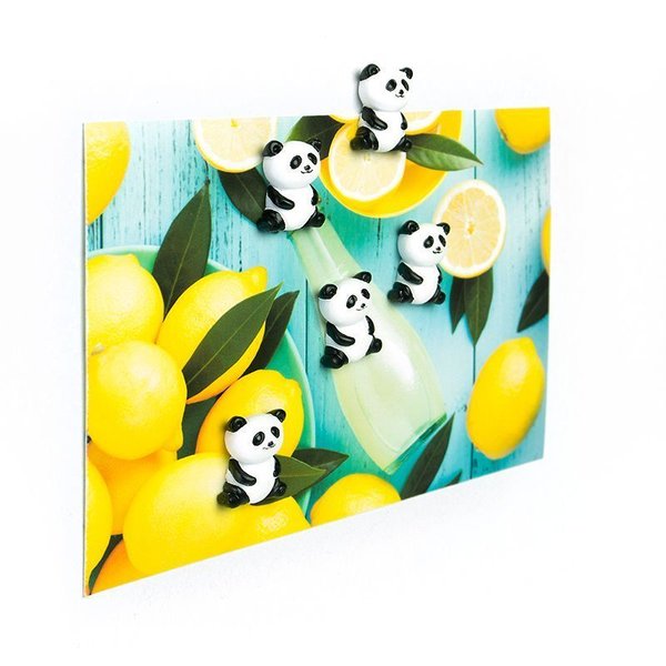 Pandas Magnet-Set