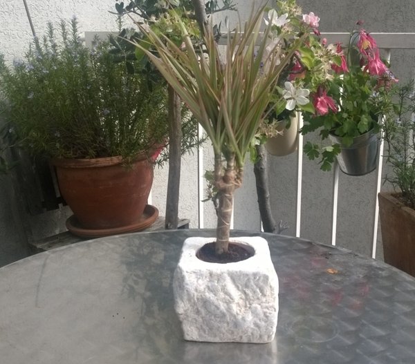 Blumentopf aus Marmor